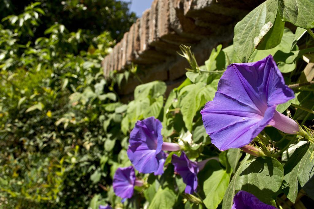 Catorceonce Bed & Breakfast Talca  Kültér fotó